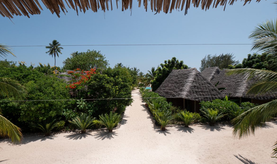 tours safaris Tanzania 4strokemaasai Limited