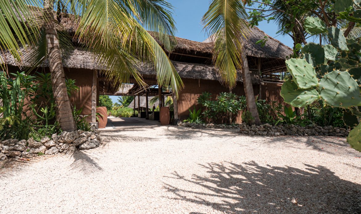 tours safaris Tanzania 4strokemaasai Limited