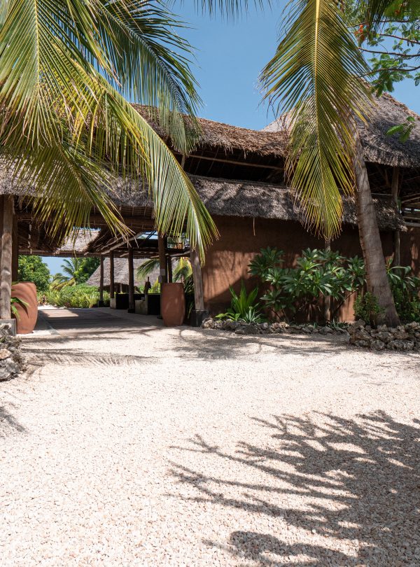 tours safaris Tanzania 4strokemaasai Limited