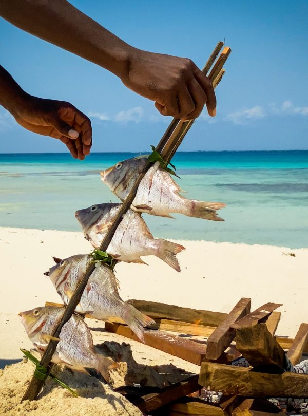 tours safaris Tanzania 4strokemaasai Limited Fish