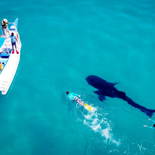 motorbikeke motorcycle adventure off-road tours safaris Tanzania 4strokemaasai Limited Experience Zanzibar