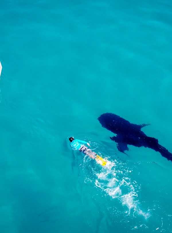 motorbikeke motorcycle adventure off-road tours safaris Tanzania 4strokemaasai Limited Experience Zanzibar