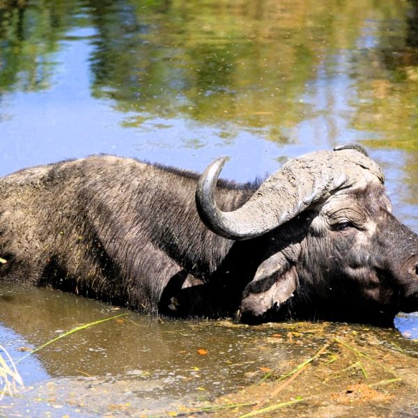 Best motorbike motorcycle adventure off-road tours safaris Tanzania 4strokemaasai Limited Serengeti National parks