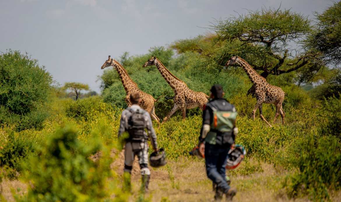 Best motorbike motorcycle adventure off-road tours safaris Tanzania 4strokemaasai Limited